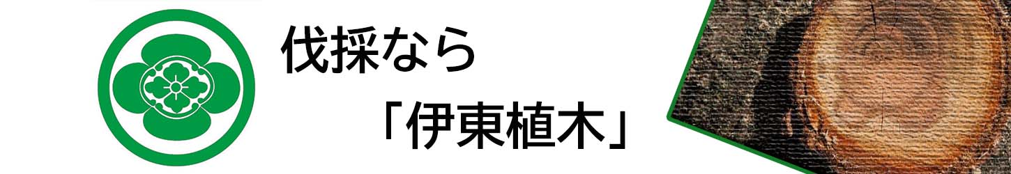 植木の伐採 伐根の相場や費用 お庭専門店 伊東植木