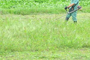 草刈 芝刈り お庭専門店 伊東植木